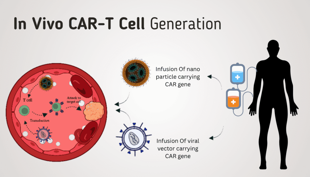 In Vivo CAR-T Cell Generation