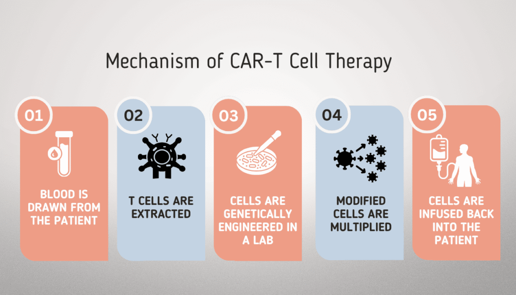 Mechanism of CAR-T Cell Therapy